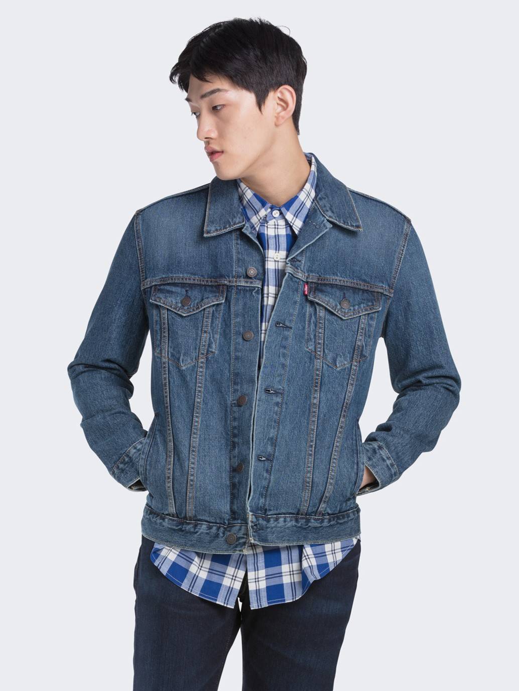Trucker Jacket