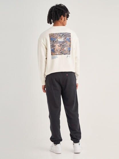 Levi's® Men's Graphic Piping Sweatpants