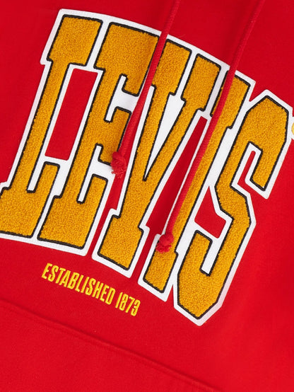 Levi's® Men's Graphic Relaxed Fit Hoodie