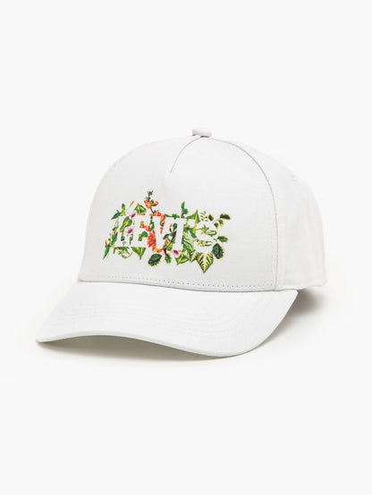 Levi's® Women's Graphic Cap